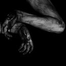 Fawn Limbs - Darwin Falls (Vinyle Neuf)