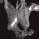 Oceansize - Self Preserved While The Bodies Float Up (Vinyle Neuf)