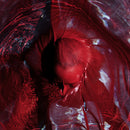 Blackwater Holylight - Not Here Not Gone (Vinyle Neuf)