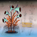 Dionee - Mille Feuilles (Vinyle Neuf)