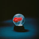 Darkside - Nothing (Indie) (Vinyle Neuf)