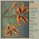 Xylitol - Blumenfantasie (Vinyle Neuf)