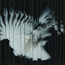 Scaler - Endlessly (Vinyle Neuf)