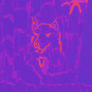 Dehd - Poetry (Vinyle Neuf)