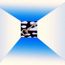 Discovery Zone - Remote Control (Vinyle Neuf)