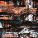 Barrens - Corpse Lights (Vinyle Neuf)