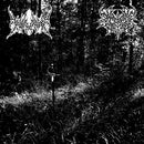 Duelliste / Daedric Chamber - Duelliste / Daedric Chamber (Vinyle Neuf)