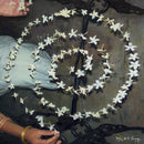 Fiddlehead - Baby Ill Change (Vinyle Neuf)