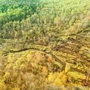 Bendigo Fletcher - Consensual Wisdom (Vinyle Neuf)