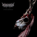Mental Cruelty - Echoes Of A Forlorn Land (Vinyle Neuf)