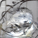 Perila - How Much Time Is It Between You And Me (Vinyle Neuf)