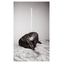 Julia Holter - Materia (Vinyle Neuf)