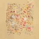Jeremiah Chiu - Edge Conditions (Vinyle Neuf)