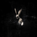 Ghostkid - Follow The White Rabbit (Vinyle Neuf)