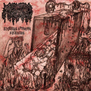 Mephitic Corpse - Sickness Attracts Sickness (Vinyle Neuf)