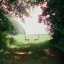 Ratboys - Singin To An Empty Chair (Vinyle Neuf)