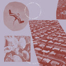 Rindert Lammers - Thank You Kirin Kiki (Vinyle Neuf)