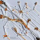 Briche - Un Sourire Sans Fleurs (Vinyle Neuf)