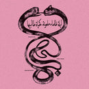 Radwan Ghazi Moumneh / Frederic D Oberland - Eternal Life No End (Vinyle Neuf)