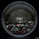 Hummingbird Of Death / Cold World - Hummingbird Of Death / Cold World (Vinyle Neuf)