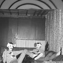 Cindy Lee - Act Of Tenderness (Vinyle Neuf)