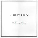 Andrew Poppy - The Beating of Wings (Vinyle Usagé)