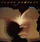 Klaus Schulze - Dig It (Vinyle Usagé)