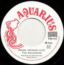 H2O (The Aquarians) - Arise (Horns Cut) (Vinyle Neuf)