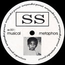 Theo Parrish - Musical Metaphors (Vinyle Neuf)