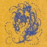 Surgeon - Shell-Wave (Vinyle Neuf)
