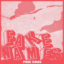 Fake Names - Punk Ruins (Vinyle Neuf)