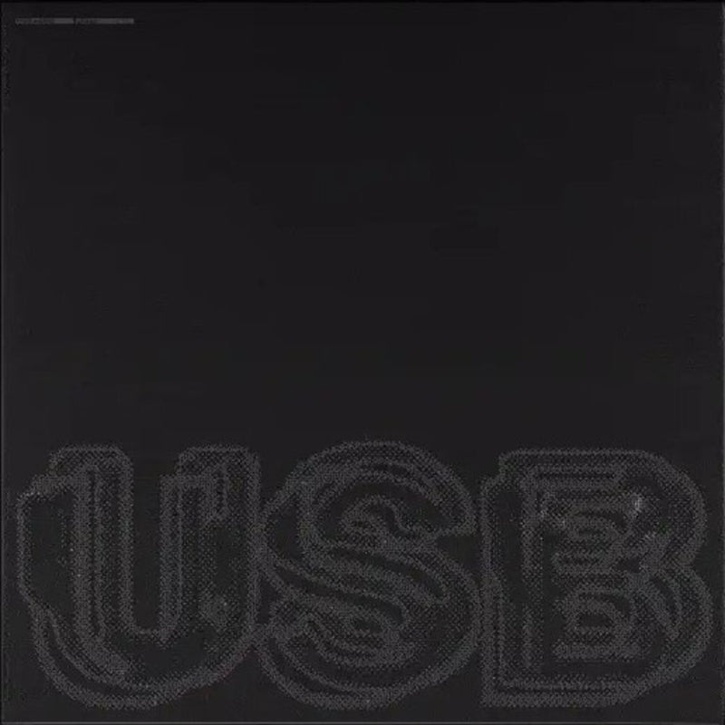 Fred Again - Usb (Vinyle Neuf)