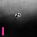 Little Simz - Lotus (Vinyle Neuf)