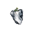 Ween - White Pepper (Vinyle Neuf)