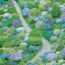 Fiddlehead - Between The Richness (Couleur) (Vinyle Neuf)