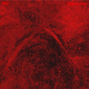 Q052 - Thunder Child (Vinyle Neuf)