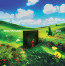 Rainbow Kitten Surprise - Bones (Vinyle Neuf)