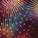 Loop - Twelves (Vinyle Neuf)