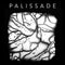 Palissade - Palissade (Vinyle Neuf)