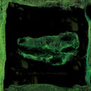 Avey Tare - Down There (Vinyle Neuf)