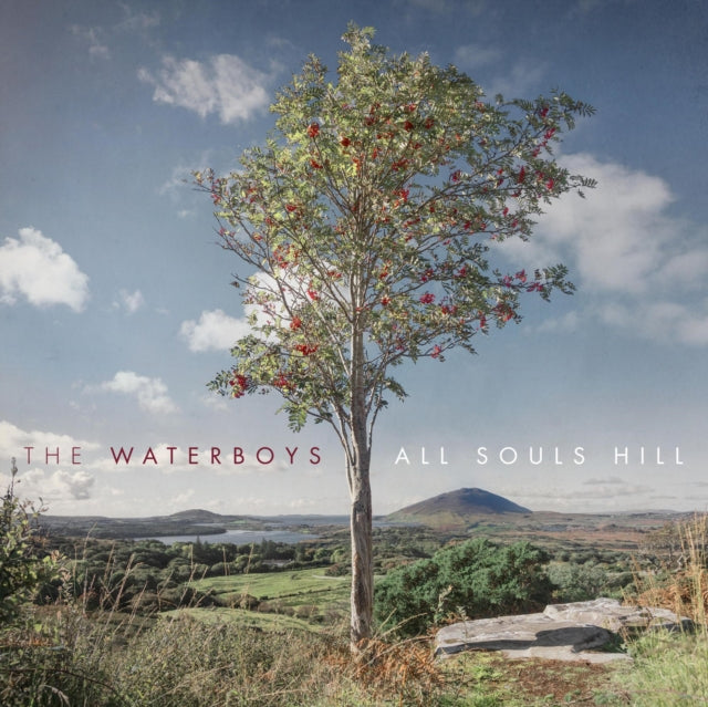 Waterboys - All Souls Hill (Vinyle Neuf)