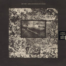 Die Form - Some Experiences With Shock (Vinyle Neuf)