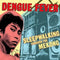 Dengue Fever - Sleepwalking Through The Mekong (Vinyle Neuf)