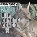 Grandaddy - Rip Coyote Condo
