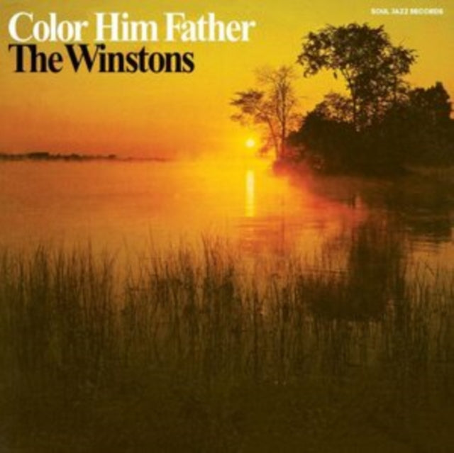 Winstons - Color Him Father (Vinyle Neuf)