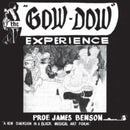 Prof James Benson - Gow Dow Experience (Vinyle Neuf)