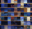 Tindersticks - The Something Rain (Vinyle Neuf)