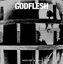 Godflesh - Decline and Fall (Vinyle Neuf)