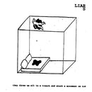 Liars - They Threw Us In A Trench and Stuck A Monument On Top (Vinyle Neuf)