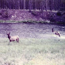 Seahaven - Ghost / Acoustic (Vinyle Neuf)